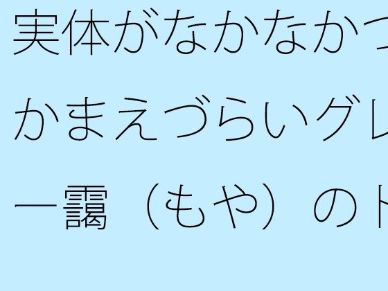 【無料で読める？】実体がなかなかつかまえづらいグレー靄（もや）のトンネルの中を  細微が問題になる【サマールンルン】  エロ画像743656